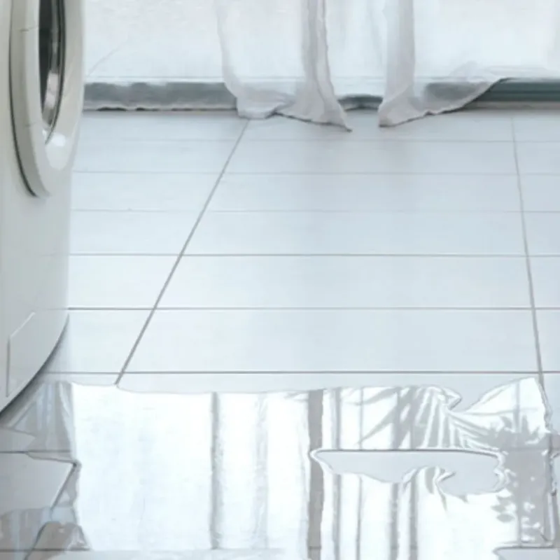 Appliance Leak Cleanup in Ada, MN