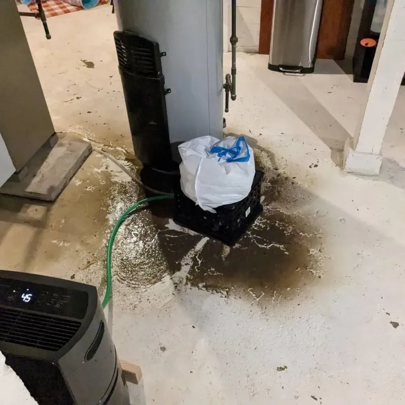 Sewage Backup Cleanup Service in Ada, MN